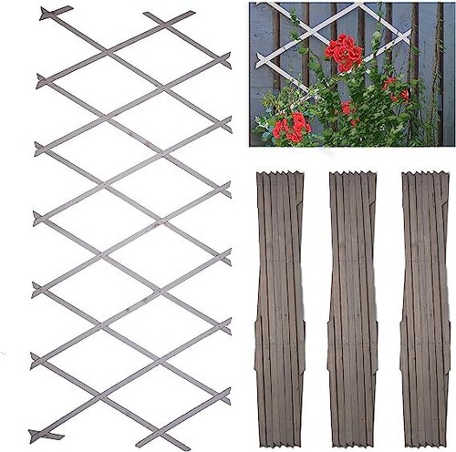 Pack wooden trellis - of, 3