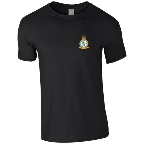 Raf embroidered 101 squadron - raf,