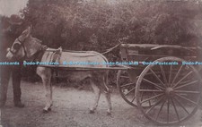 R698875 Donkey With Carriage. Postcard