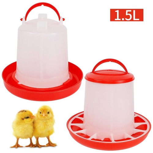 Chicken poultry feeders - feeders, or