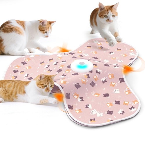 Interactive cat toy - interactive,