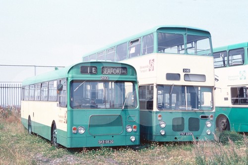 Bus photo merseyside pte - photo,