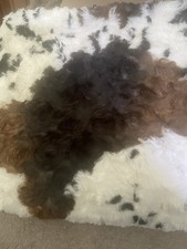 NEXT Cow Print Faux Cowboy