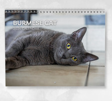 Burmese Cat Calendar 2026: Monthly Wall Calendar with Notes, opens to A3