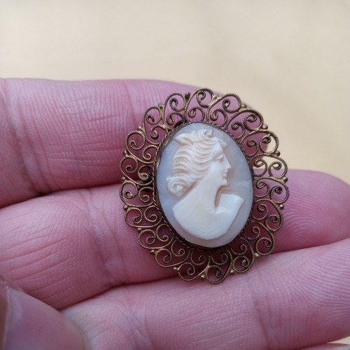 Carved shell cameo gold plated - shell,