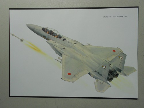 Military aviation print - military,