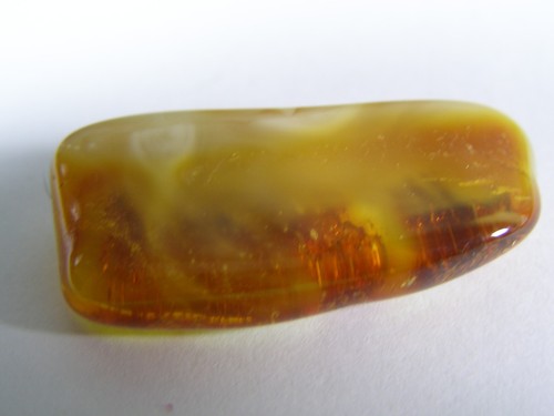 Natural baltic amber - natural,