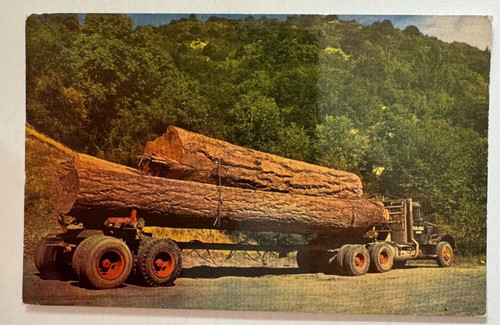 1954 postcard logging truck - postcard,