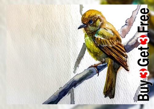 Delicate garden bird - delicate,