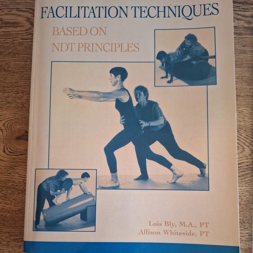 Facilitation techniques based - facilitation,