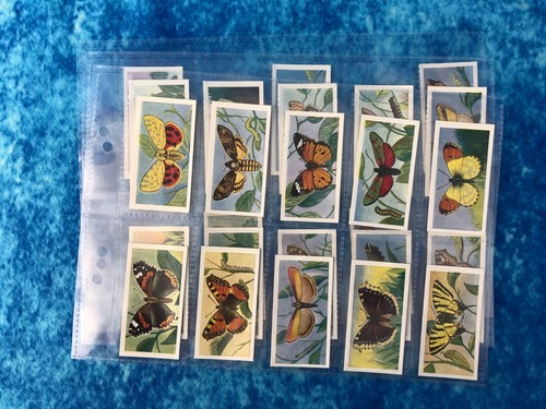 Swettenhams butterflies and - swettenhams,