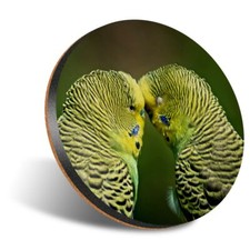 1 x Round 12cm Coaster - Green