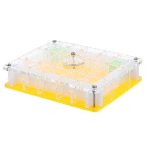 Ant breeding box living - ant,