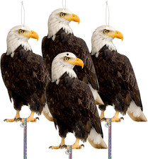 Pigeon Scarer, Bird Deterrent