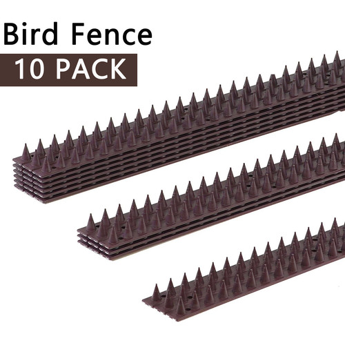 Bird fence wall spikes cat - wall,