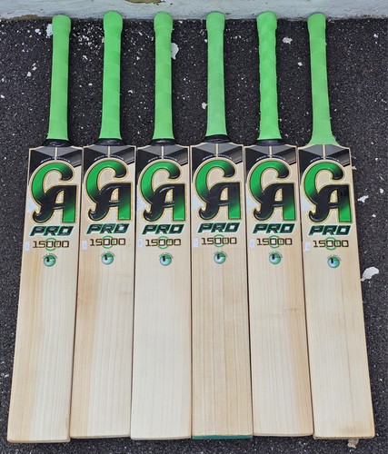 Pro 15000 cricket - 15000, bat