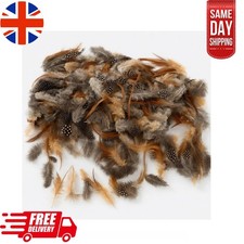 120 Natural Brown Spotted