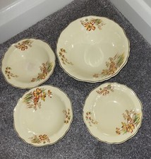 Fruit Bowl plus 3 Small Bowls