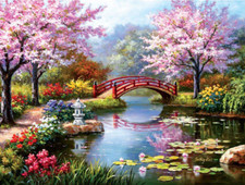 Paint by Numbers for Adults