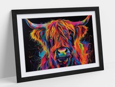VIBRANT MULTI COLOUR HIGHLAND