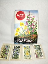 Typhoo Tea Cards, Wild