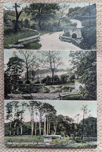 Tottleworth multiview - tottleworth,