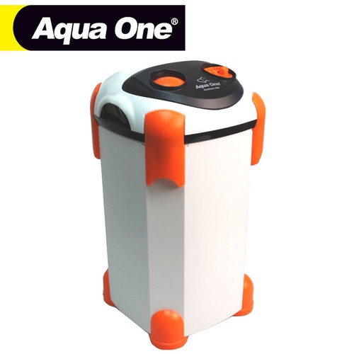 Aquarium fish tank - aquarium,