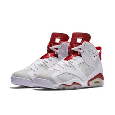 Nike Air Jordan 6 ALTERNATE 91