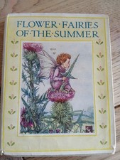 Flower Fairies of the Summer