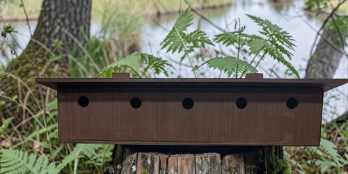 Sparrow nest box terrace - box,