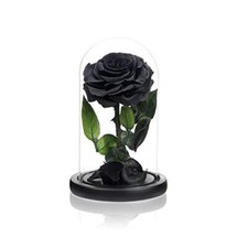Handmade Preserved Roses in