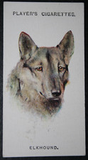 ELKHOUND  Vintage 1929 Illustrated Dog Card  EE04M