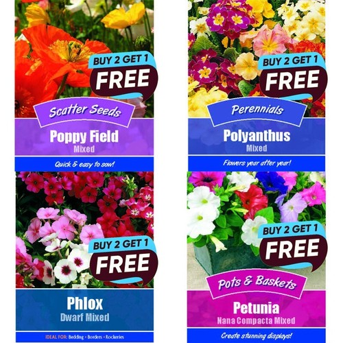 Flower seeds grow your own - uk,