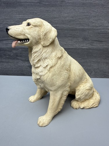 Leonardo golden retriever dog - golden,