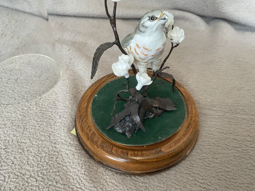 Vintage royal worcester - vintage,
