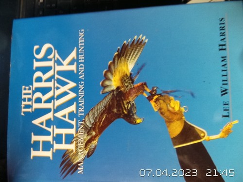 The harris hawk management - the, hawk: