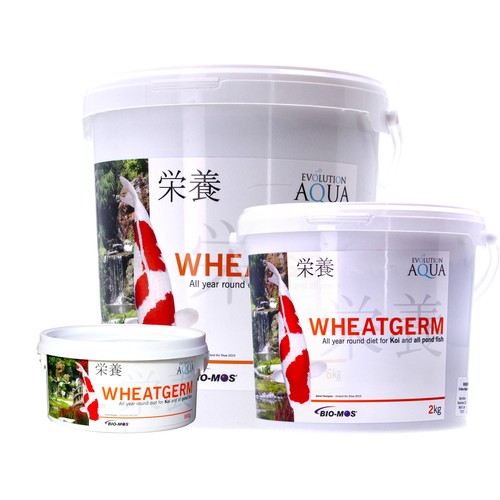Evolution aqua wheatgerm koi - evolution,