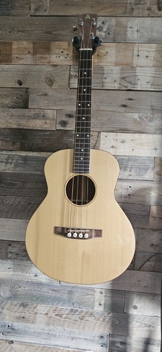 Ashbury elextro acoustic bass - ashbury,