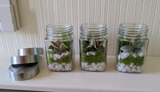 3 Artificial Succulent Type Planters, Glass Bottles, With Lids if needed