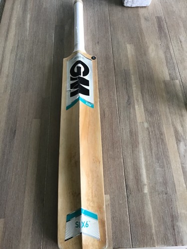 Gunn and moore cricket bat - gm,