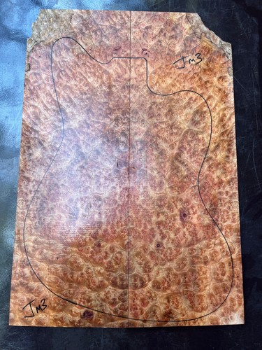 Camphor burl bookmatched - burl,