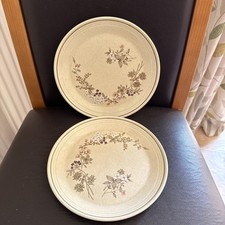 Pair Of Royal Doulton  BREDON HILL.   Dessert Plate 8 5/8 inches.