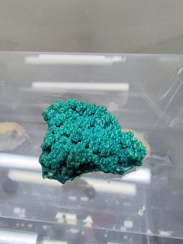 Rare vibrant chrysocolla - &,