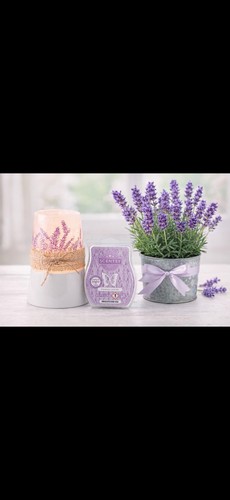 Scentsy lavender fields - lavender, warmer