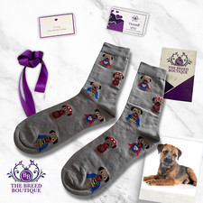 BORDER TERRIER SUPERHERO FUN SOCKS UNISEX ONE SIZE FIT UK 5 - 11 UNIQUE  GIFT