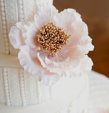 Sugarcraft Molds Polymer Clay