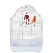 Rainforest Bird Cage San