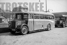 35mm Negative Alexander