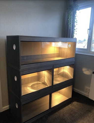 Custom vivarium stack 2 - stack,