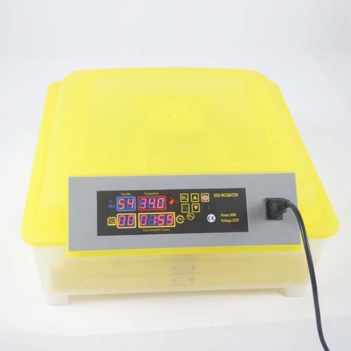 Bird egg incubator - bird, poultry